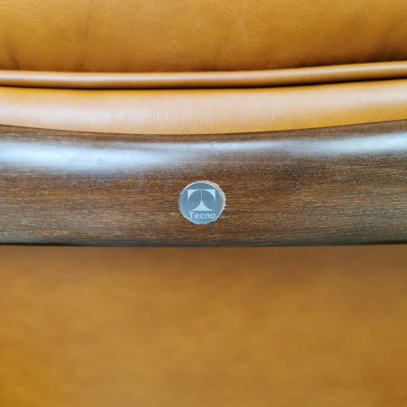 Poltrona Canada, Osvaldo Borsani per Tecno 1960's