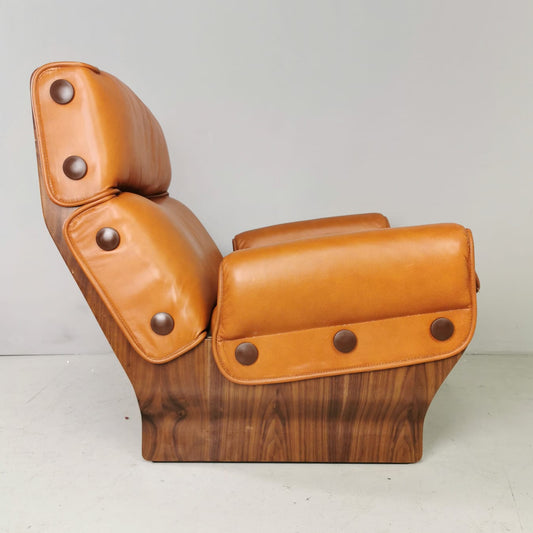 Canada armchair, Osvaldo Borsani for Tecno 1960's