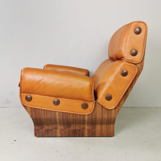 Canada armchair, Osvaldo Borsani for Tecno 1960's