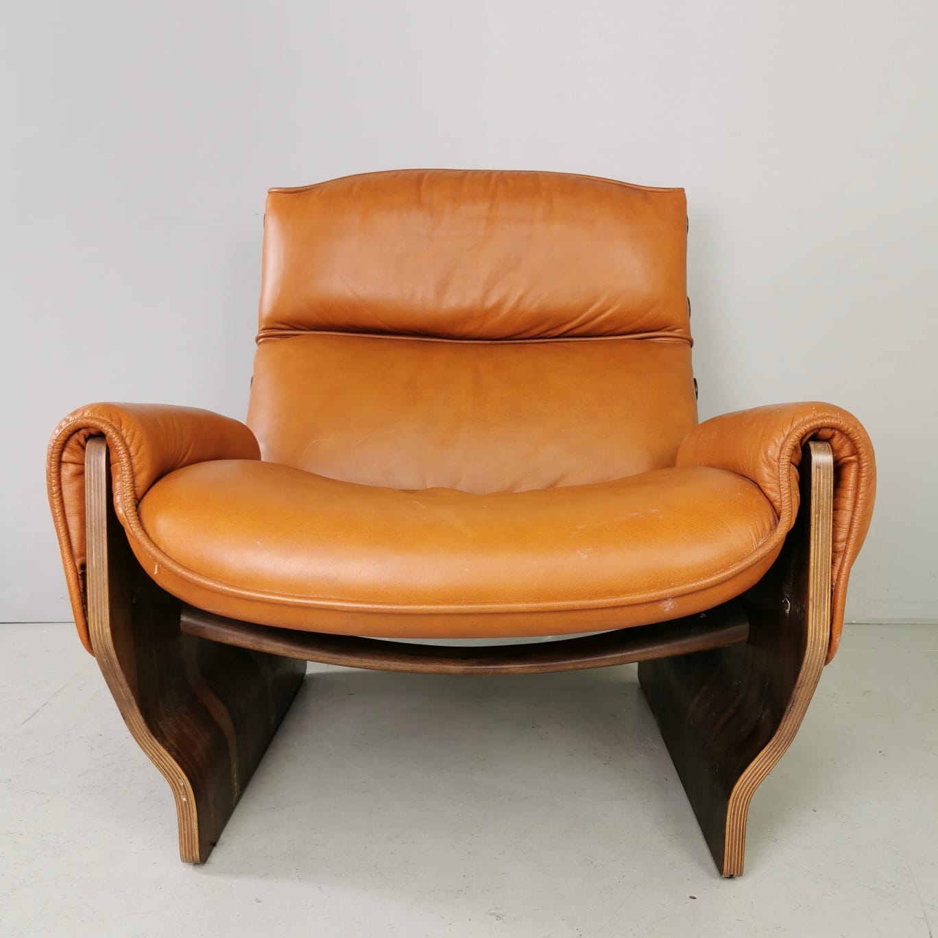Canada armchair, Osvaldo Borsani for Tecno 1960's